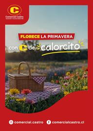 Catálogo Comercial Castro semana 46 Página 21