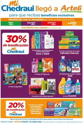 Folleto Arteli (válido hasta 17-11)