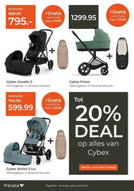 Prenatal folder Pagina 10