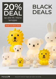 Prenatal folder Pagina 39