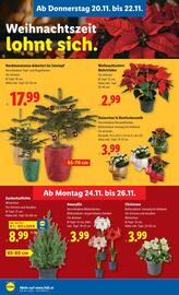 Lidl Flugblatt woche 47 Seite 27