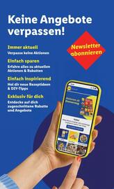 Lidl Flugblatt woche 47 Seite 46
