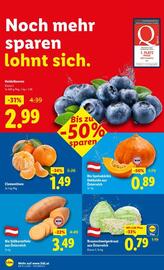 Lidl Flugblatt woche 47 Seite 5