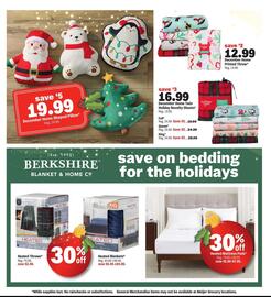 Meijer weekly ad week 46 Page 10