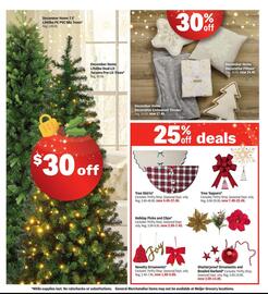 Meijer weekly ad week 46 Page 11
