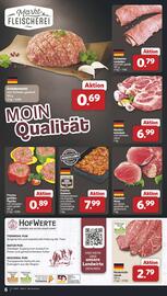Famila Nord West Prospekt woche 47 Seite 6