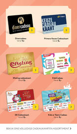 Primera folder Pagina 2