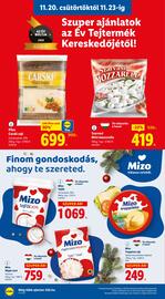 Lidl akciós újság hét 47 Oldal 10