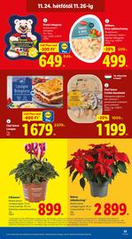 Lidl akciós újság hét 47 Oldal 53