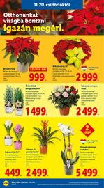 Lidl akciós újság hét 47 Oldal 6