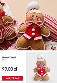 Homla gazetka tydzień 46 Strona 5