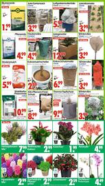 Wreesmann Prospekt woche 47 Seite 13