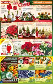 Norma Prospekt woche 48 Seite 14