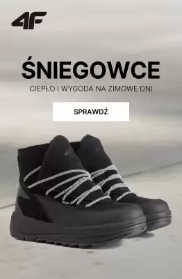 4F gazetka (ważność do 22-11)