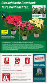 Toom Baumarkt Prospekt woche 47 Seite 2