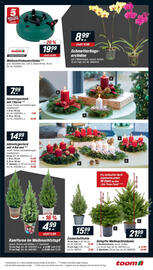 Toom Baumarkt Prospekt woche 47 Seite 3