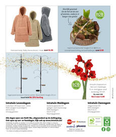 Intratuin folder week 47 Pagina 16