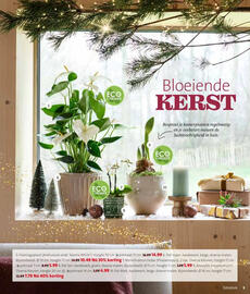 Intratuin folder week 47 Pagina 5