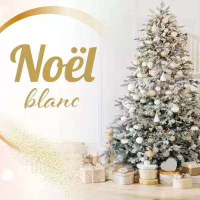 Catalogue Trafic (valable jusqu'au 16-11)