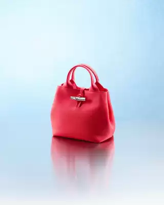 Folleto Longchamp (válido hasta el 10-01)