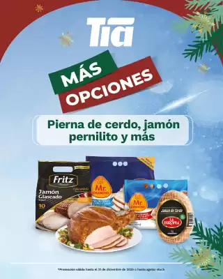Catálogo Tia (válido hasta 31-12)