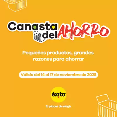 Catálogo Éxito (válido hasta 17-11)