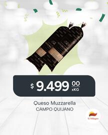 Catálogo El Milagro Mayorista semana 46 Página 6