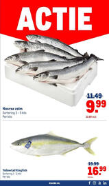 Makro folder Pagina 19