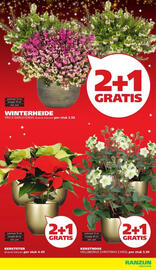 Ranzijn folder Pagina 3