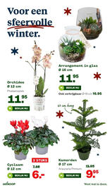 Welkoop folder week 47 Pagina 13