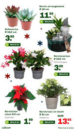 Welkoop folder week 47 Pagina 14