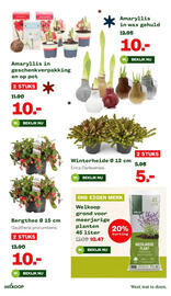 Welkoop folder week 47 Pagina 15