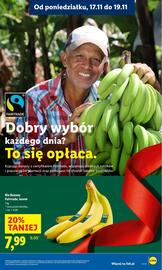 Lidl gazetka Strona 13