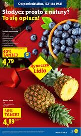 Lidl gazetka Strona 15