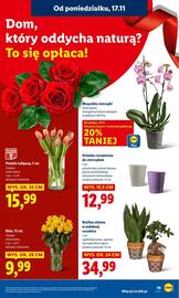 Lidl gazetka Strona 59