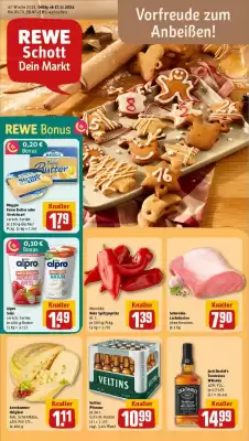 REWE Prospekt (gültig bis 23-11)
