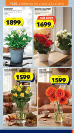 ALDI akciós újság hét 47 Oldal 31