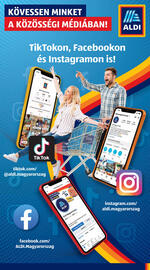 ALDI akciós újság hét 47 Oldal 35