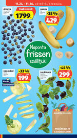 ALDI akciós újság hét 47 Oldal 40