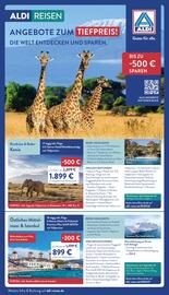 Aldi Nord Prospekt woche 48 Seite 49