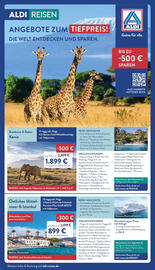 Aldi Nord Prospekt woche 48 Seite 51