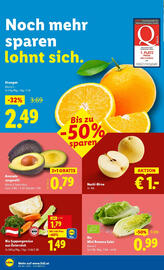 Lidl Flugblatt woche 47 Seite 34