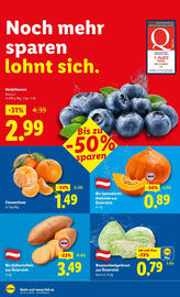 Lidl Flugblatt woche 47 Seite 4