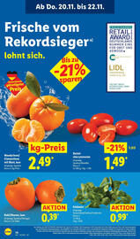 Lidl Prospekt woche 47 Seite 60