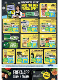 E-Center Prospekt Seite 12