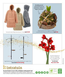 Intratuin folder week 47 Pagina 17