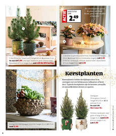 Intratuin folder week 47 Pagina 4