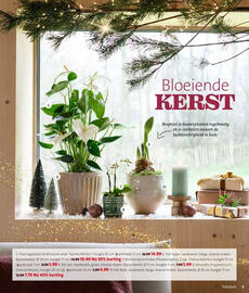 Intratuin folder week 47 Pagina 5