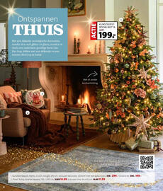 Intratuin folder week 47 Pagina 6