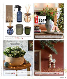 Intratuin folder week 47 Pagina 7